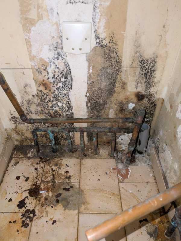 1000005146 - Copie - Grande