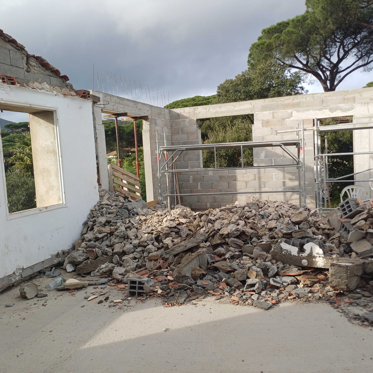 20250106_141542 - Grande