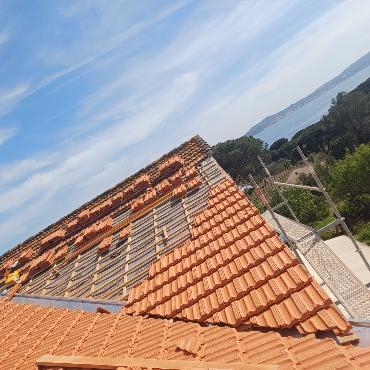 20250403_151956 - Grande