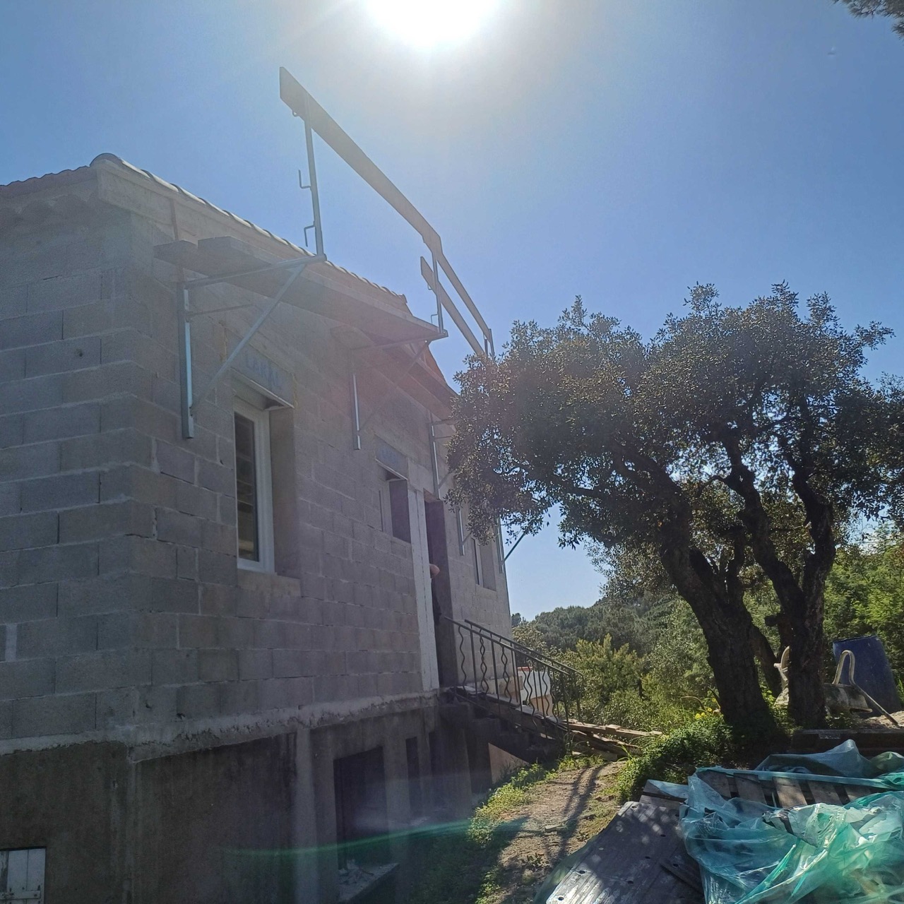 20250410_155137 - Grande